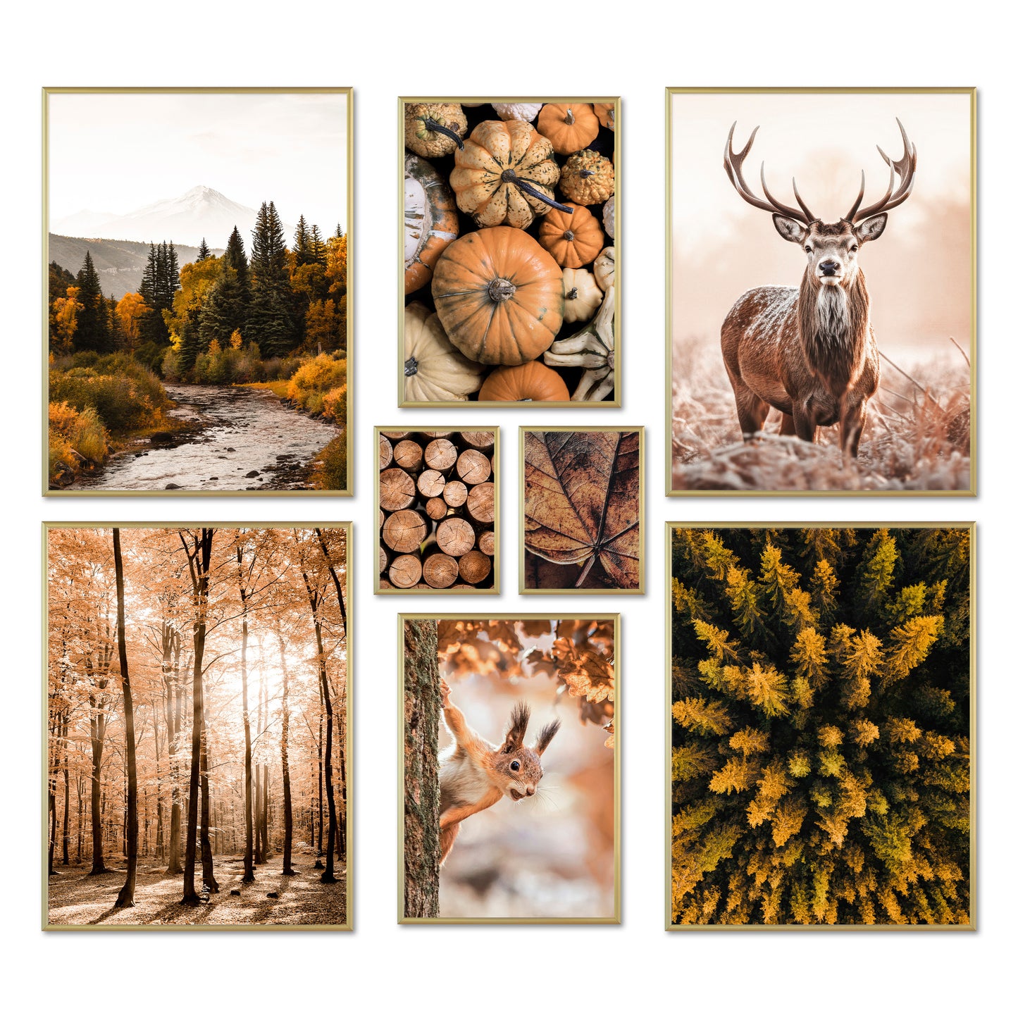 Poster Set - AUTUMN FOREST I Autumn Decoration Wall Pictures