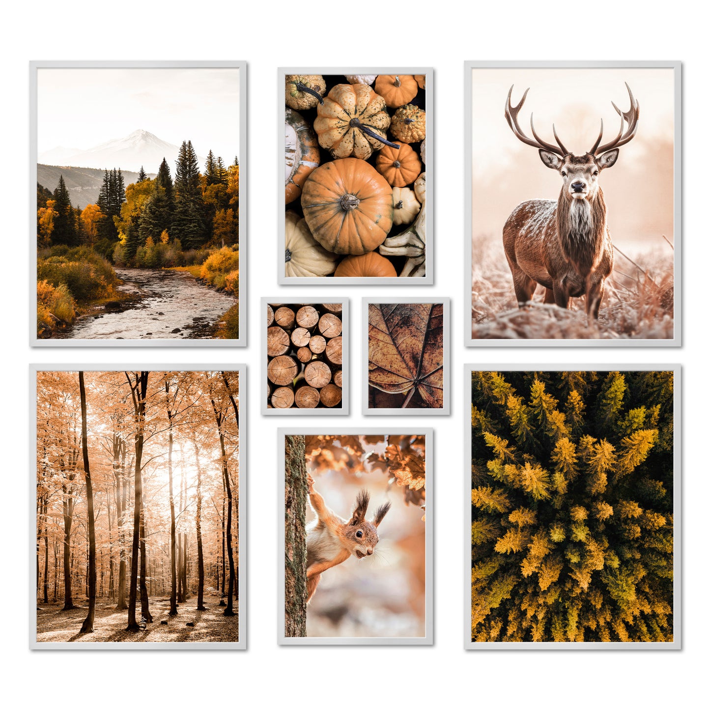 Poster Set - AUTUMN FOREST I Autumn Decoration Wall Pictures