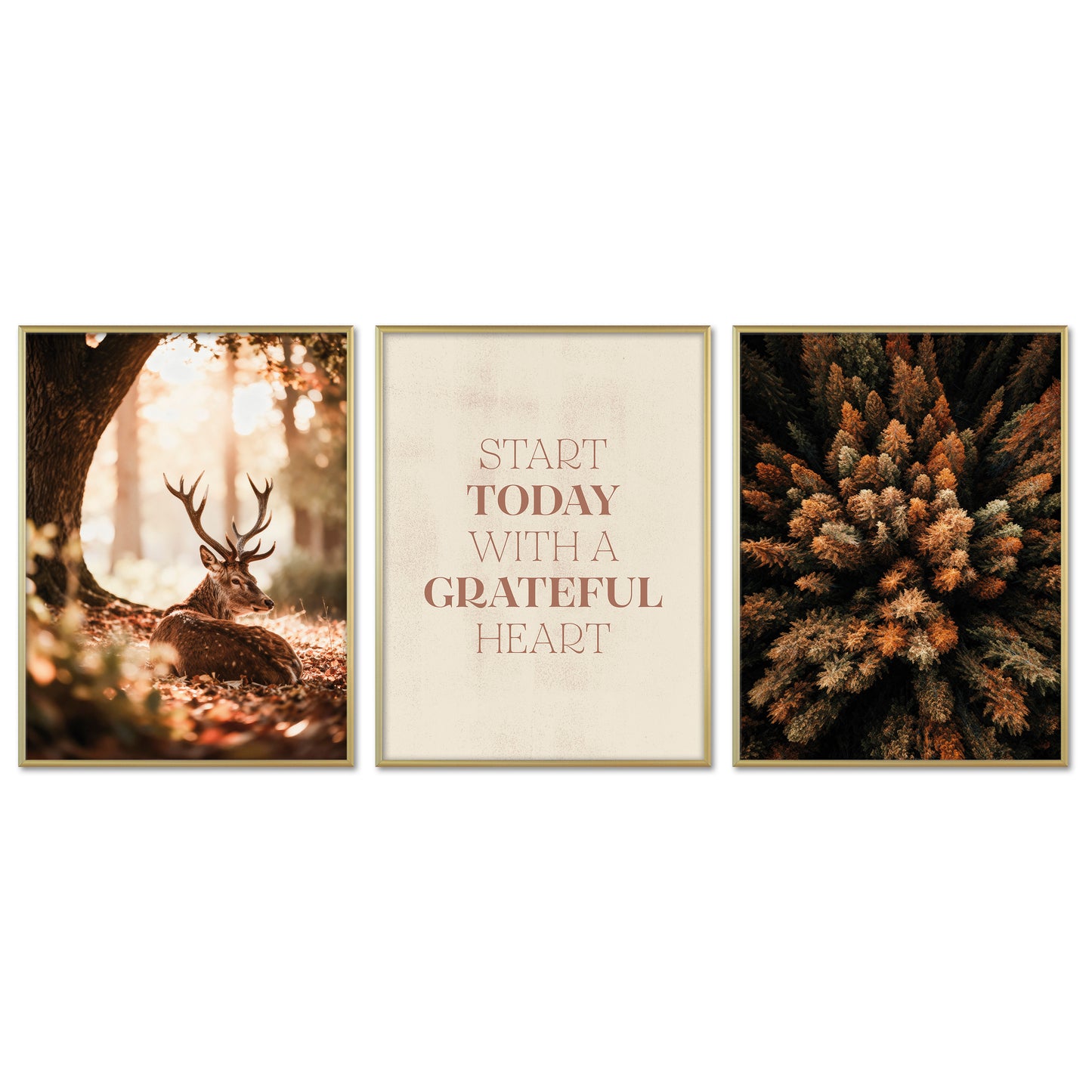 Poster Set - Herbst Wald - 3 Deko Wandbilder