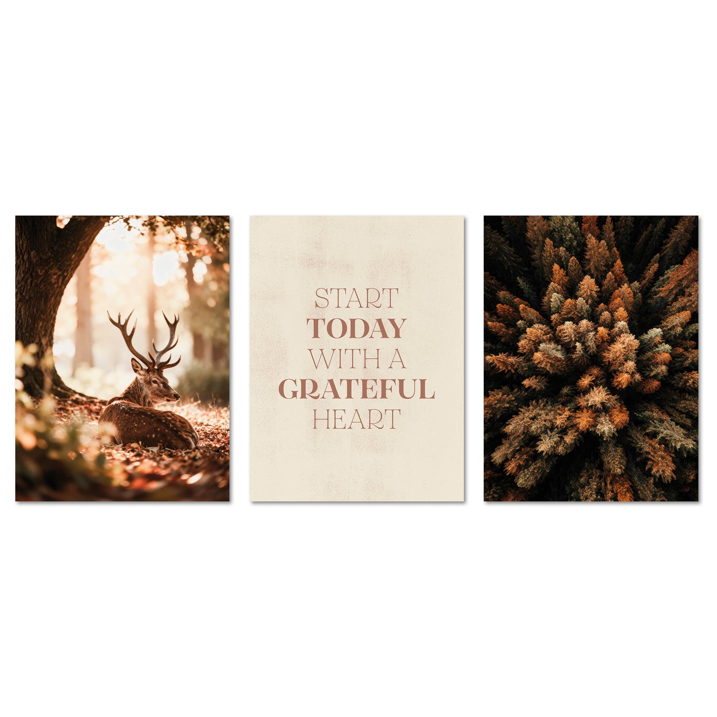 Poster Set - Herbst Wald - 3 Deko Wandbilder