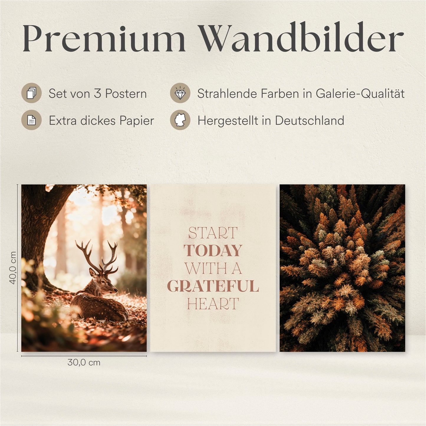 Poster Set - Herbst Wald - 3 Deko Wandbilder