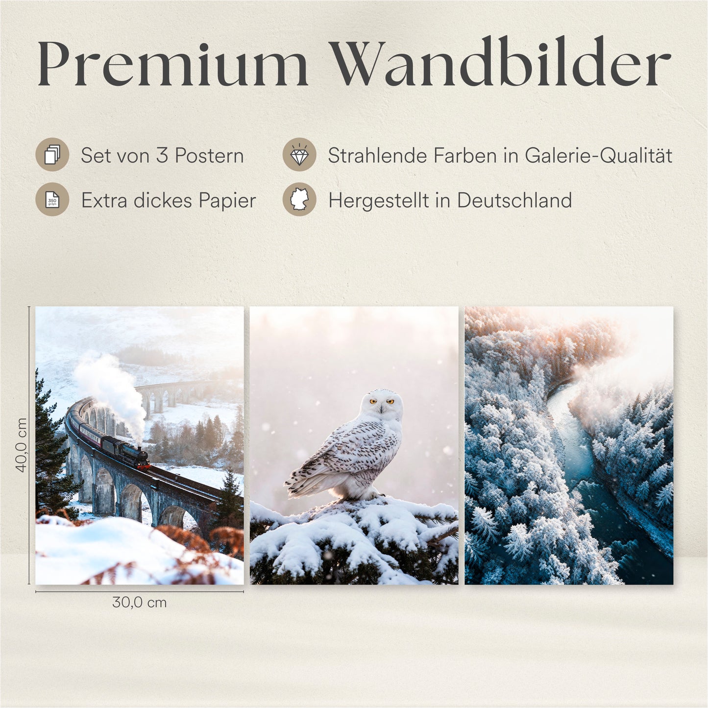 Poster Set - Winter Momente 3 - 3 Deko Wandbilder Glenfinnan Viaduct Schneeeule