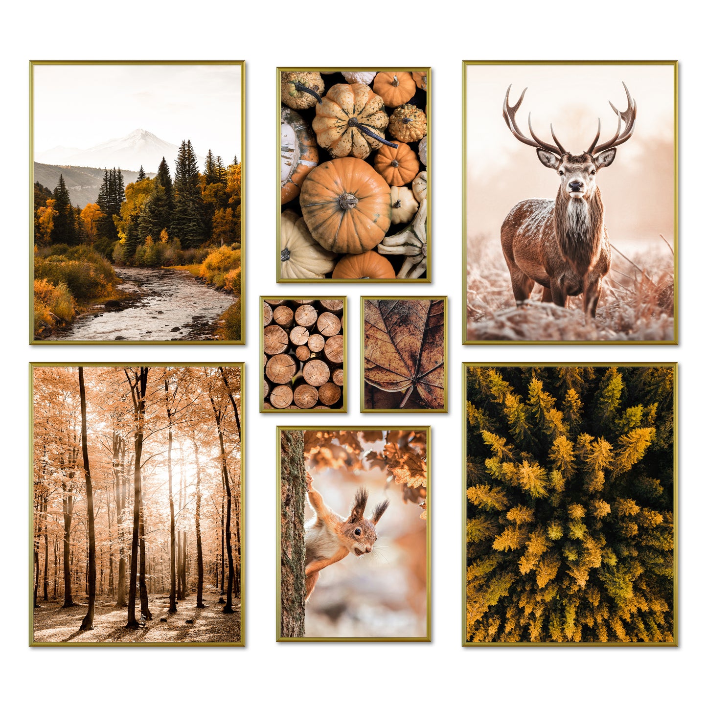 Poster Set - AUTUMN FOREST I Herbst Deko Wandbilder - mit Rahmen Gold