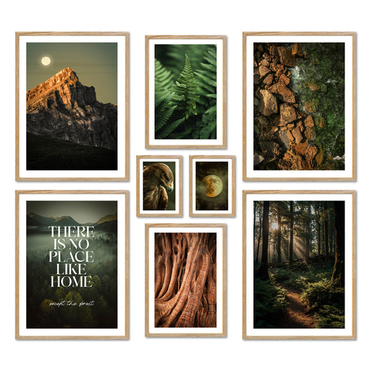 Poster Set - Wild Forest - Deko Wandbilder wald, natur, grün, grün-braun, mystisch