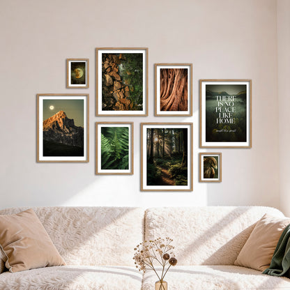 Poster Set Wild Forest I mehrteilige Bilderwand I Wandbilder Wald