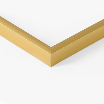 Bilderrahmen Alu Gold