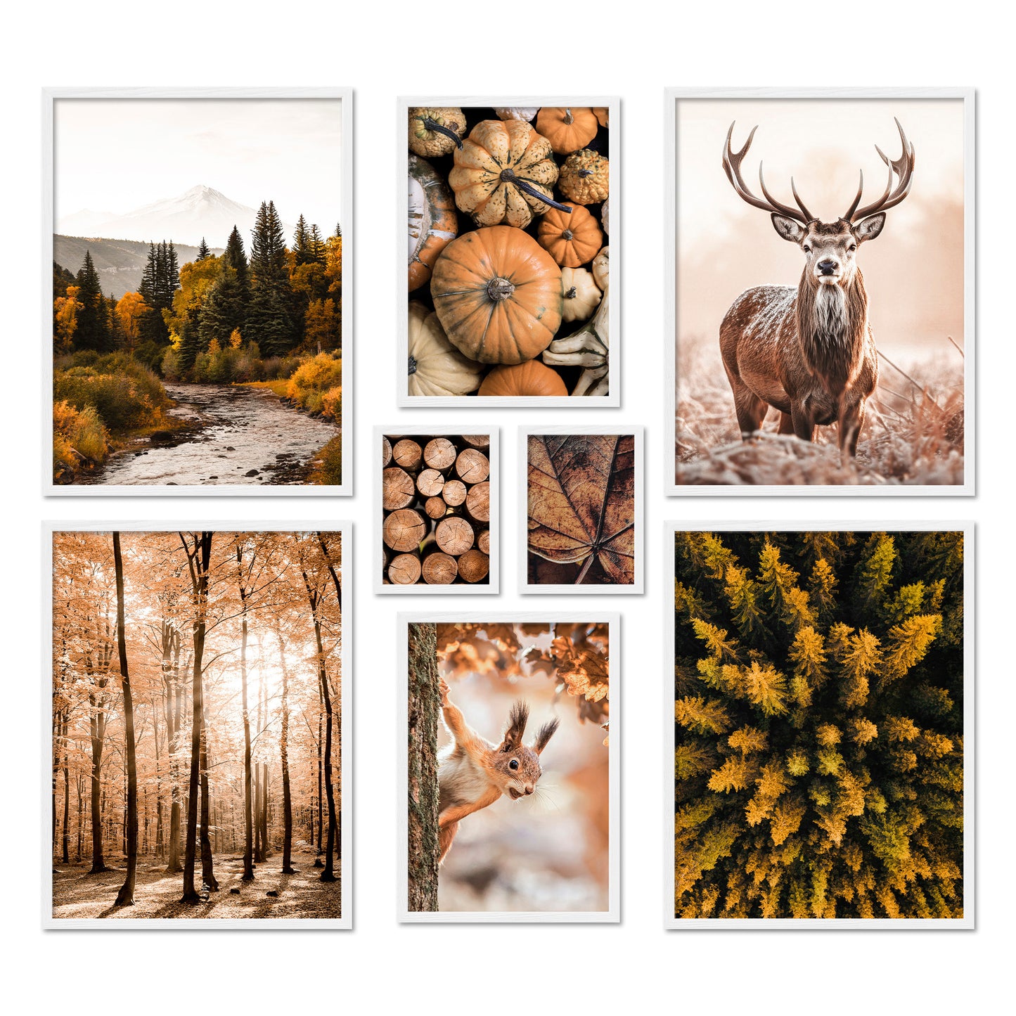 Poster Set Autumn Forest I mehrteilige Bilderwand I Wandbilder Herbst