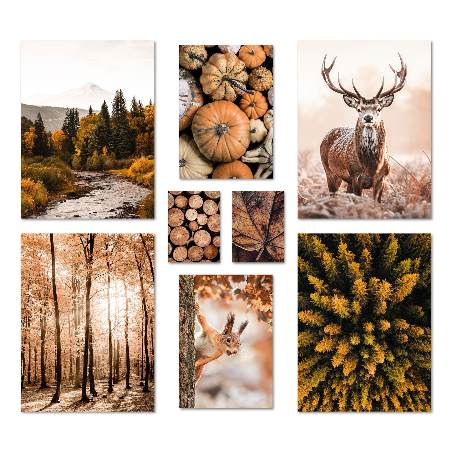 Poster Set Autumn Forest I mehrteilige Bilderwand I Wandbilder Herbst