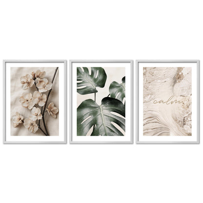 Poster Set Beige Green Calmness Trio I mehrteilige Bilderwand I Wandbilder Elegant