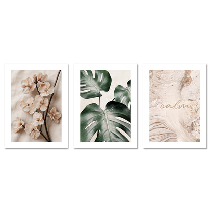 Poster Set Beige Green Calmness Trio I mehrteilige Bilderwand I Wandbilder Elegant