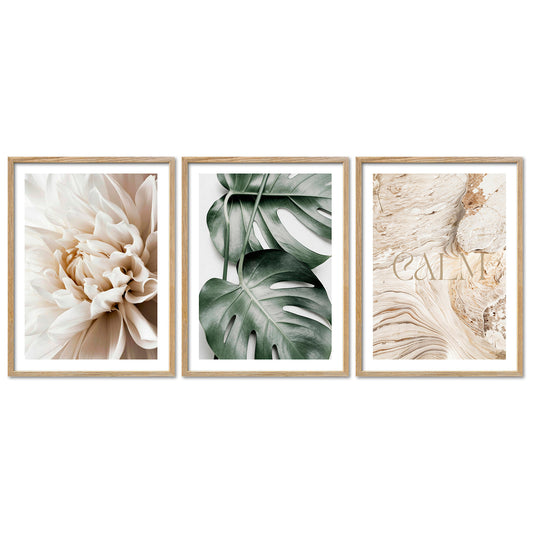 Poster Set Beige Green Calmness Trio Bilderwand Wandbilder Elegant ARTFAVES