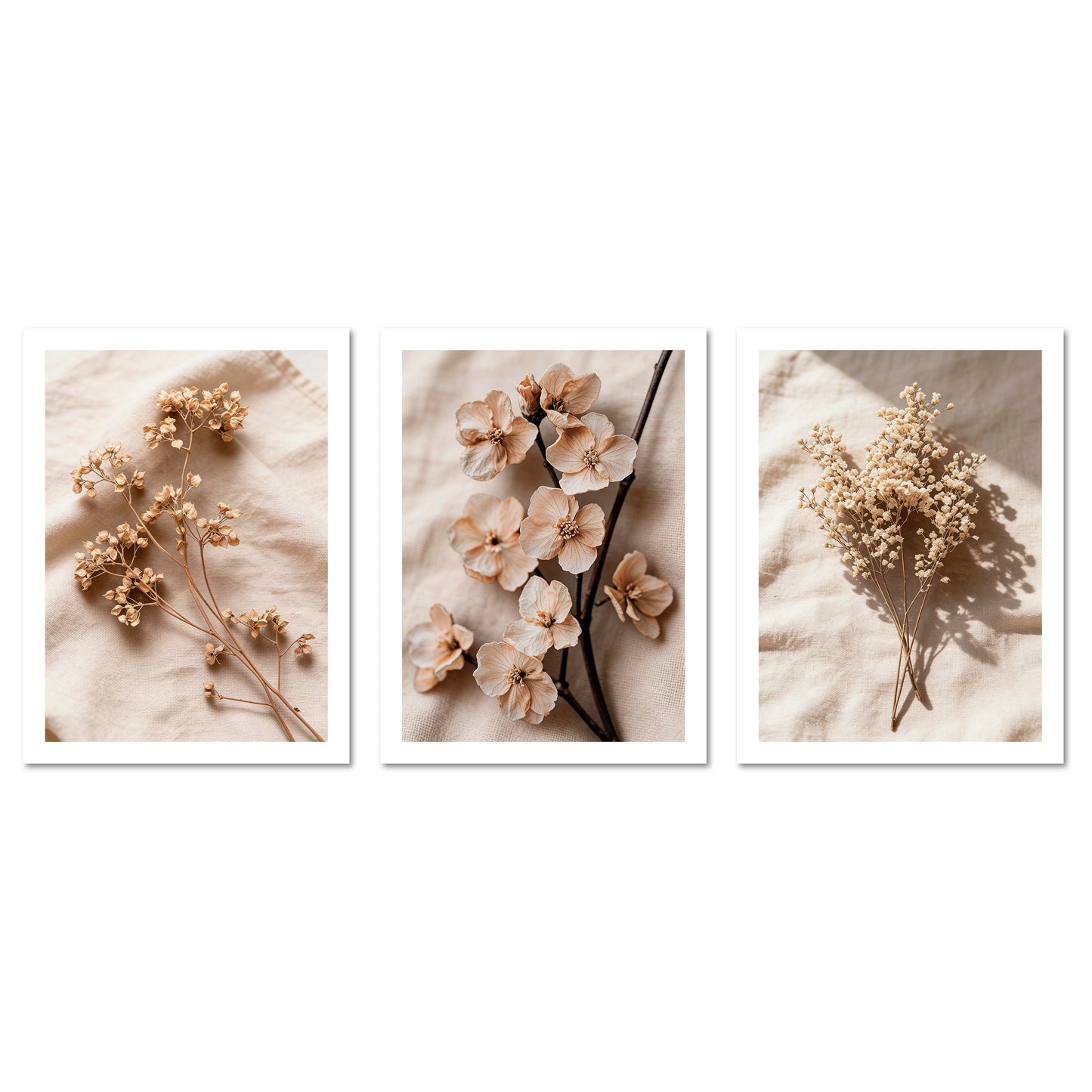 Poster Set Dark Flowers 2 I mehrteilige Bilderwand I Wandbilder Trockeblumen