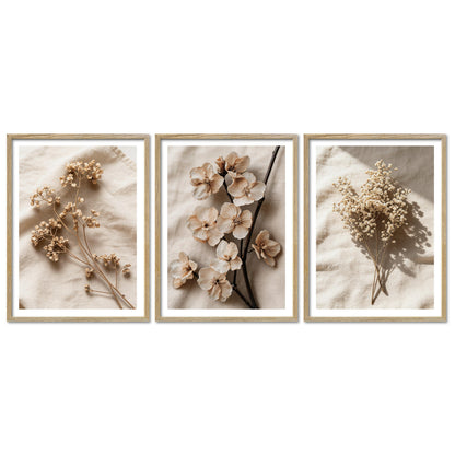 Poster Set Dark Flowers 2 I mehrteilige Bilderwand I Wandbilder Trockeblumen