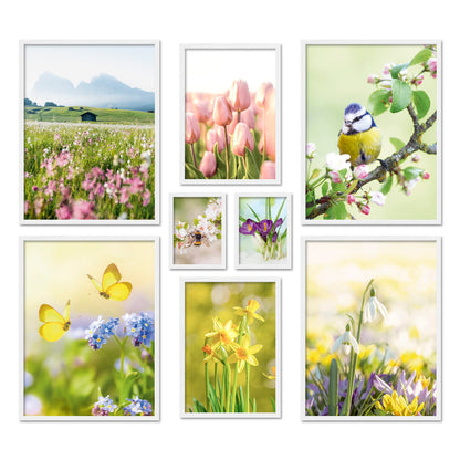 Poster Set Frühlingserwachen Bilderwand Wandbilder Frühling ARTFAVES
