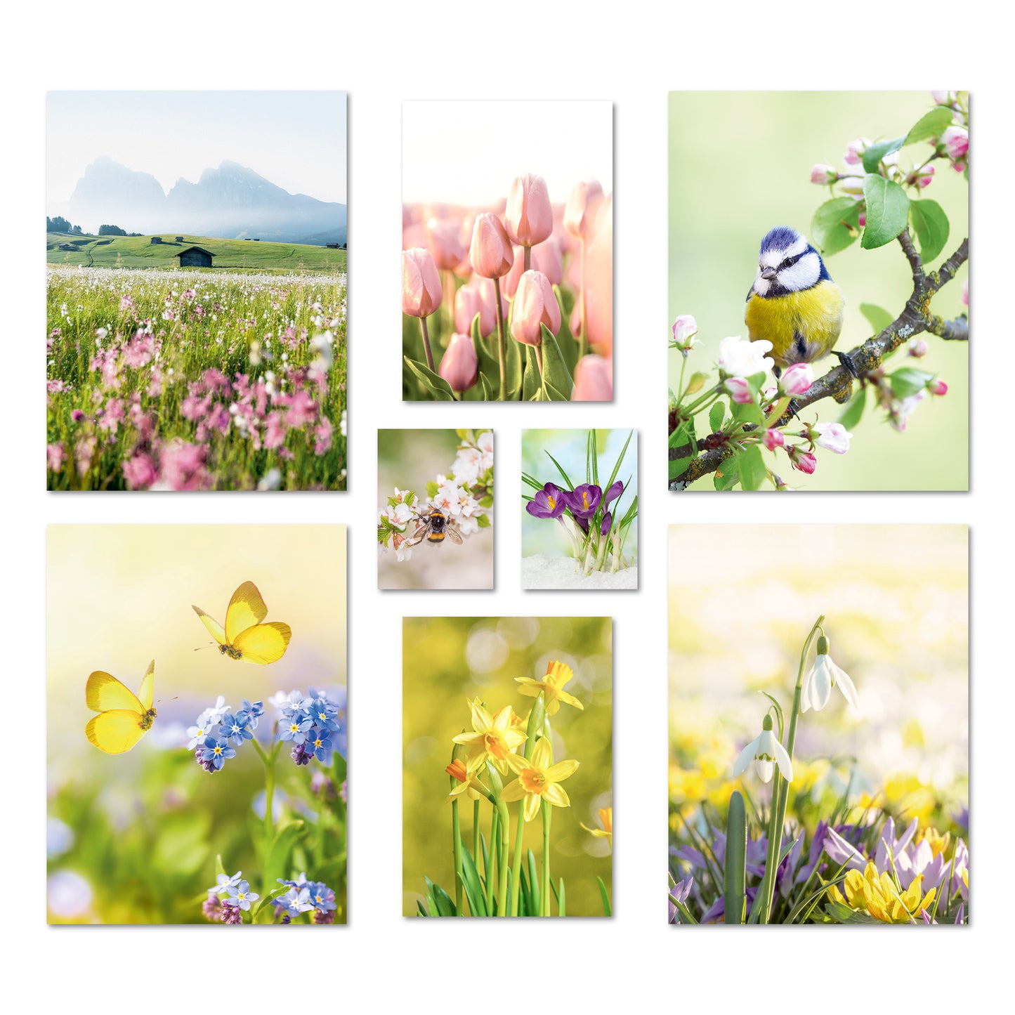 Poster Set Frühlingserwachen I mehrteilige Bilderwand I Wandbilder Frühling