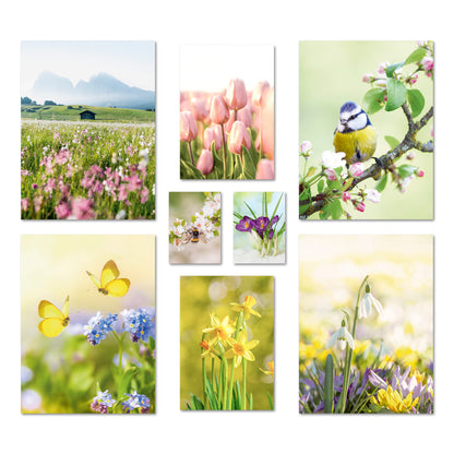 Poster Set Frühlingserwachen I mehrteilige Bilderwand I Wandbilder Frühling