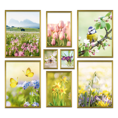 Poster Set Frühlingserwachen I mehrteilige Bilderwand I Wandbilder Frühling