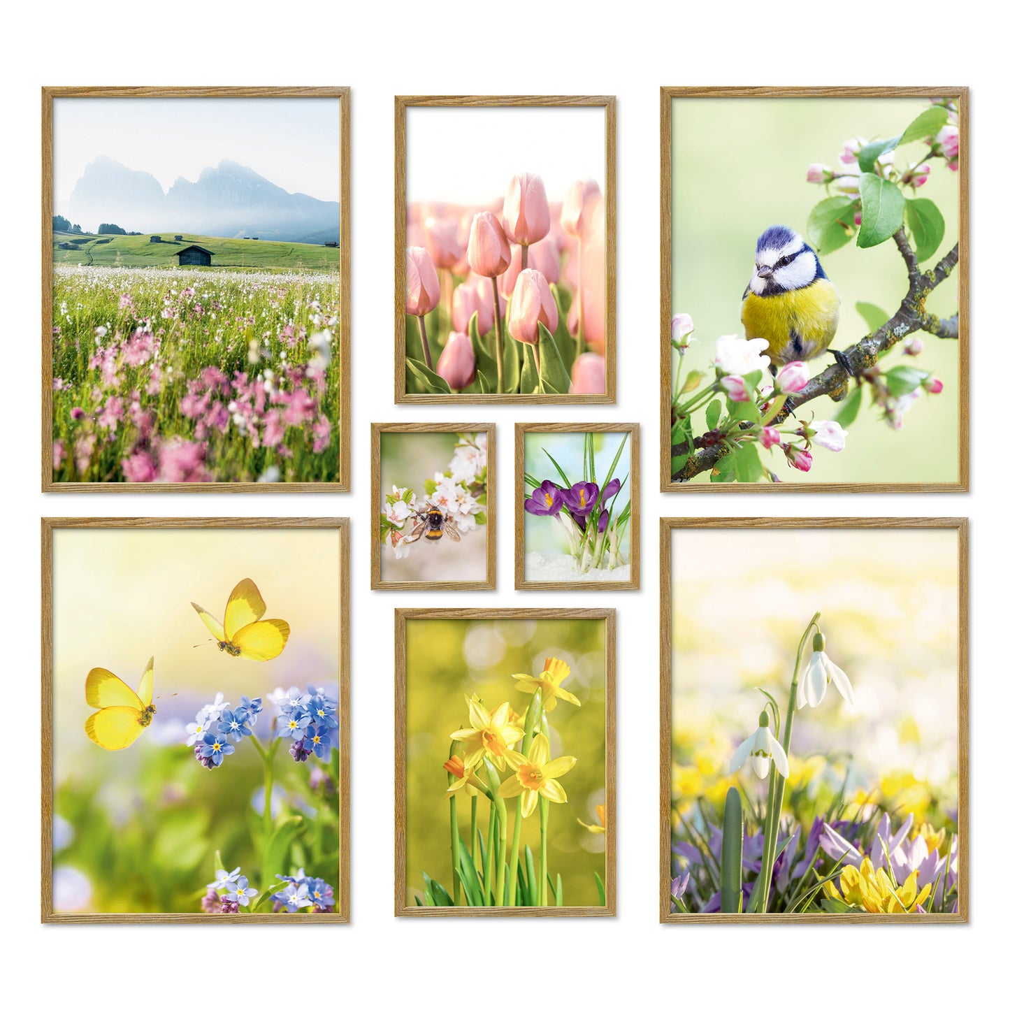 Poster Set Frühlingserwachen I mehrteilige Bilderwand I Wandbilder Frühling