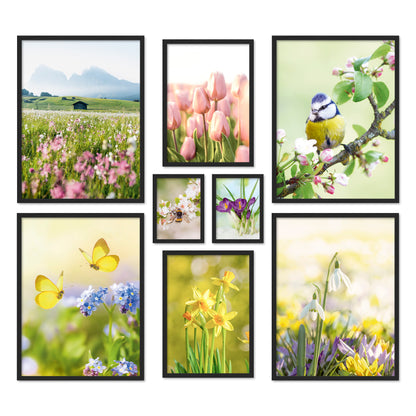 Poster Set Frühlingserwachen I mehrteilige Bilderwand I Wandbilder Frühling