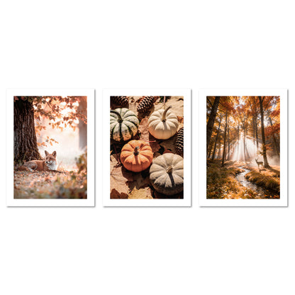 Poster Set Herbst Momente 1 I mehrteilige Bilderwand I Wandbilder Herbst