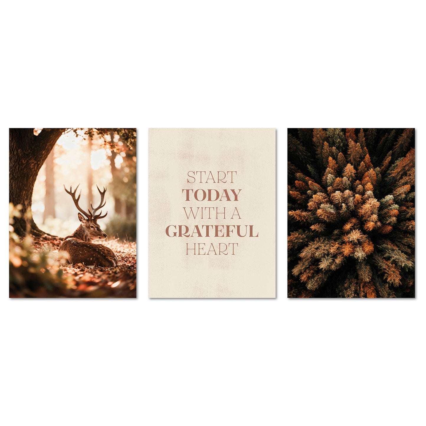 Poster Set Herbst Wald I mehrteilige Bilderwand I Wandbilder Herbst
