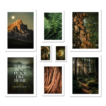 Poster Set Wild Forest I mehrteilige Bilderwand I Wandbilder Wald
