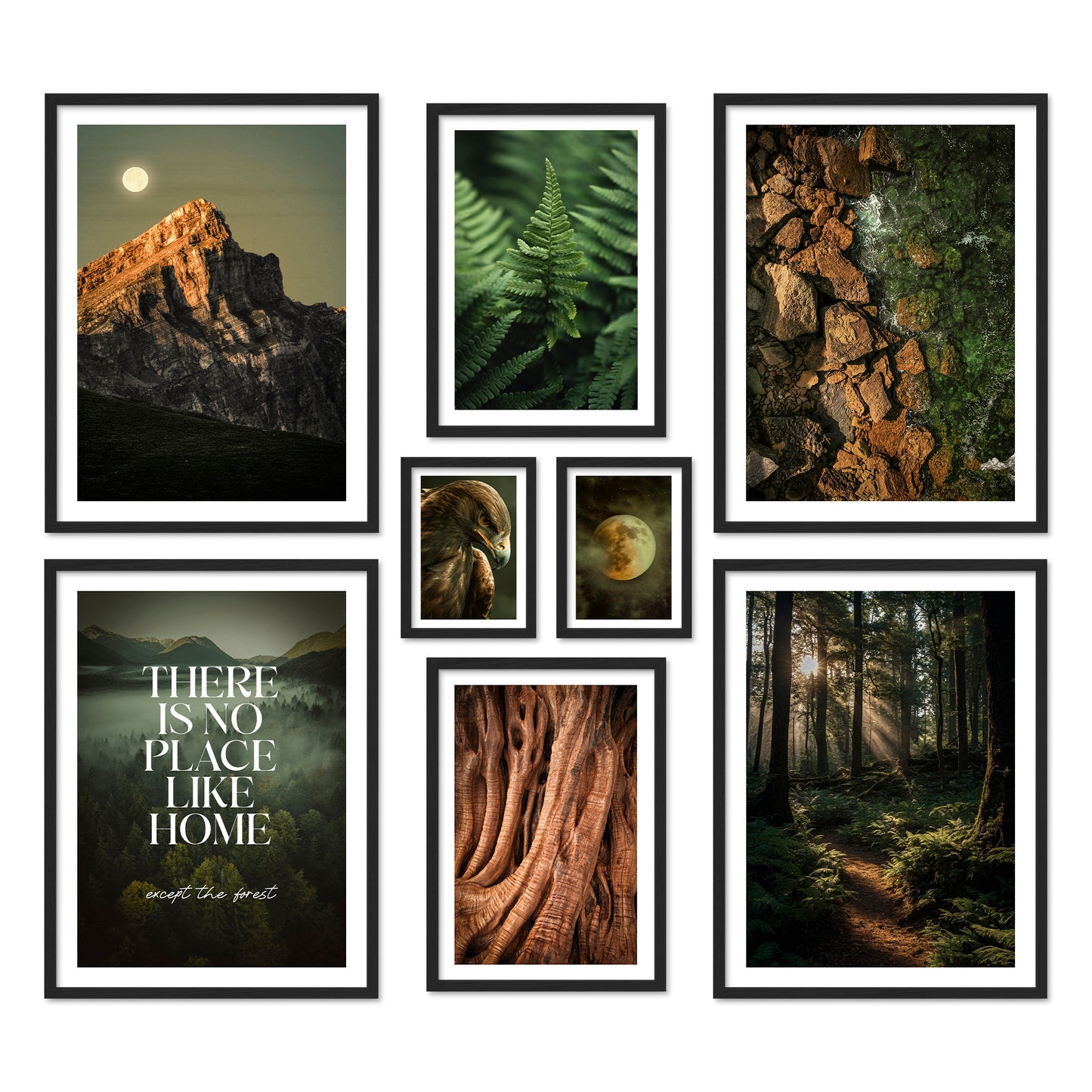 Poster Set Wild Forest I mehrteilige Bilderwand I Wandbilder Wald