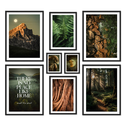 Poster Set Wild Forest I mehrteilige Bilderwand I Wandbilder Wald