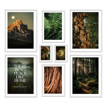 Poster Set Wild Forest I mehrteilige Bilderwand I Wandbilder Wald