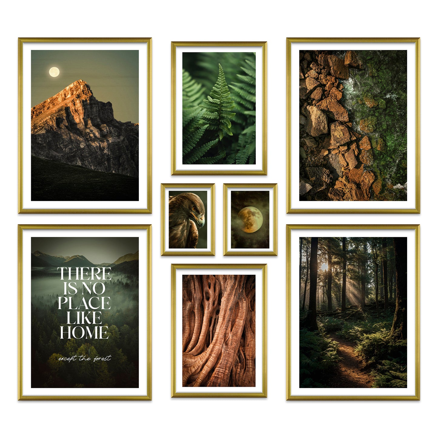 Poster Set Wild Forest I mehrteilige Bilderwand I Wandbilder Wald