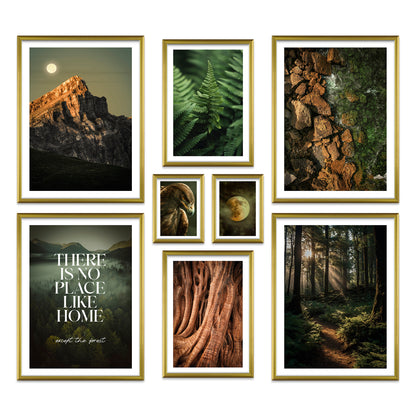 Poster Set Wild Forest I mehrteilige Bilderwand I Wandbilder Wald