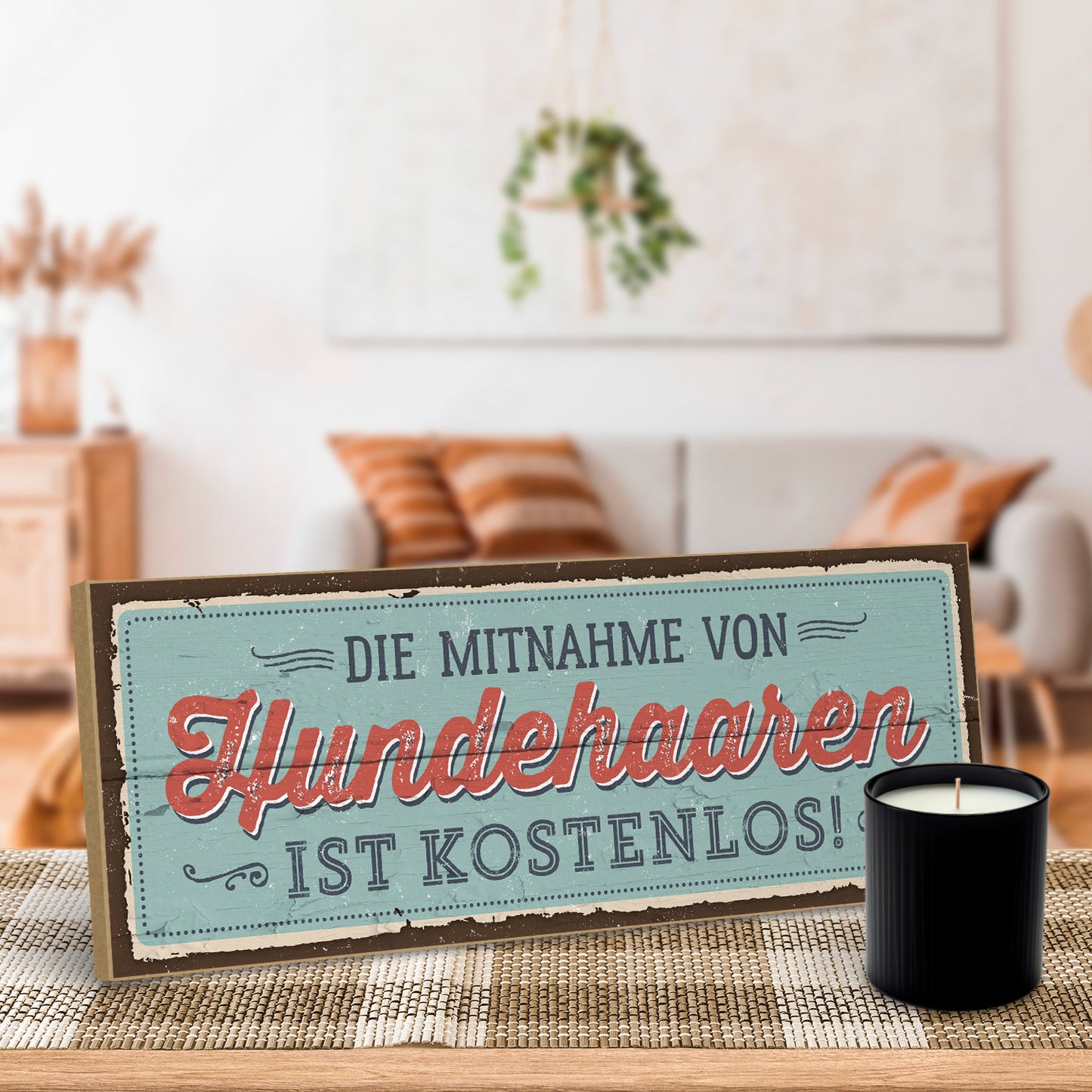 hs-holzbild-mit-spruch-die-mitnahme-von-hundehaaren