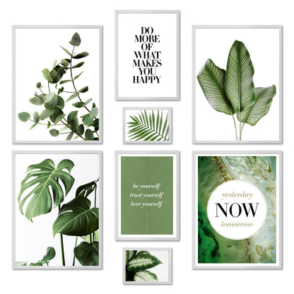 Poster Set - ELEGANT BOTANY I Plants Monstera Wall Art