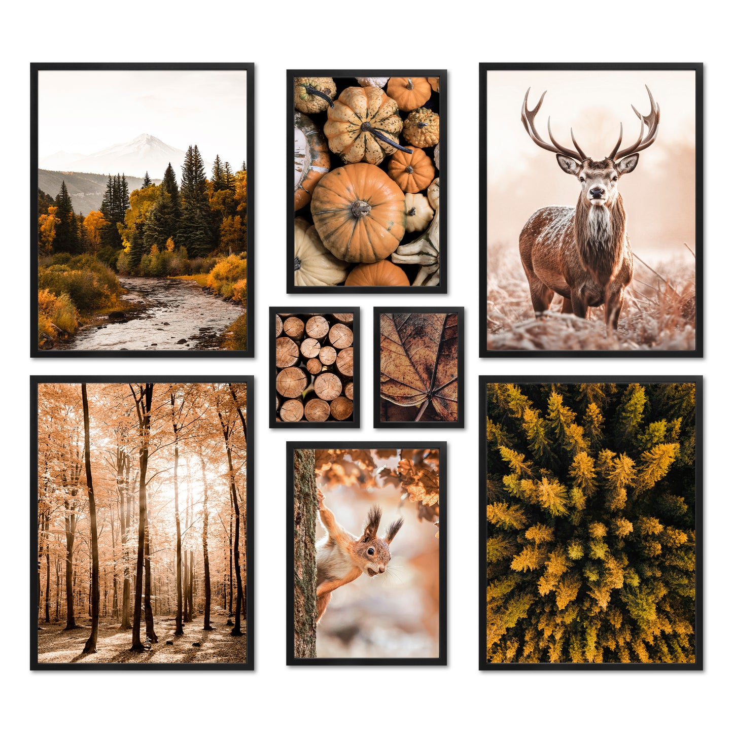 Poster Set - AUTUMN FOREST I Herbst Deko Wandbilder - mit Rahmen Schwarz